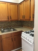 100 Vana Dr in Willow Springs, IL - Building Photo