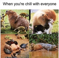 721 N Streeper St photo'