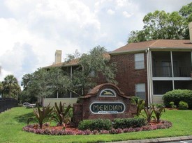 Meridian Apartments in Tampa, FL - Building Photo