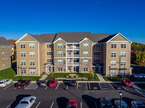 Palace Centre Apartments And Nearby Erie For Rent Pa 45photos