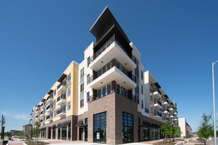 Village at Palm Center in Houston, TX - Building Photo