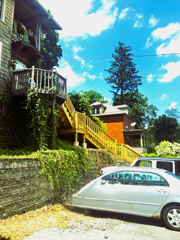 106 Ruskin Dr, Unit Unit 1 in Altoona, PA - Building Photo - Building Photo