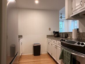 30-34-34 E Concord St in Boston, MA - Building Photo - Building Photo