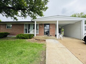 246 Union Rd in St. Louis, MO - Building Photo
