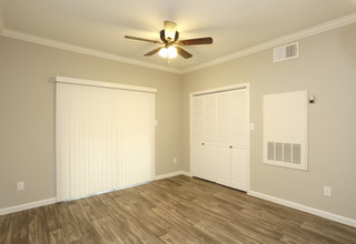 Bluff Springs Townhomes in Austin, TX - Foto de edificio - Interior Photo