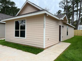 11595 Persimmon St in Willis, TX - Building Photo