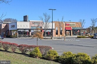 19872 Yellow Daisy Ter in Ashburn, VA - Building Photo - Building Photo