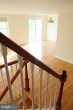 3317 Pathway Ct in Falls Church, VA - Building Photo - Building Photo