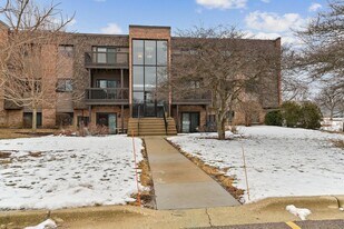 1426 Stonebridge Cir in Wheaton, IL - Building Photo