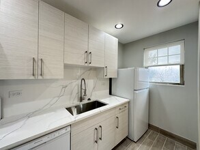 324 S Maple Ave, Unit A4 in Oak Park, IL - Foto de edificio - Building Photo