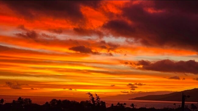 86 Koki Pl in Kihei, HI - Building Photo - Building Photo