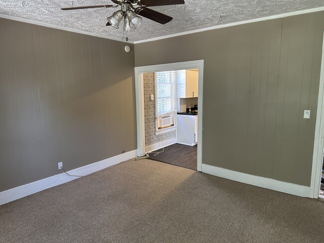 1101 N 6th St, Unit 2 in Mankato, MN - Building Photo - Building Photo