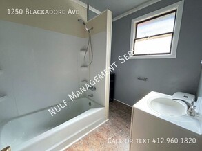 1250 Blackadore Ave in Pittsburgh, PA - Building Photo - Building Photo