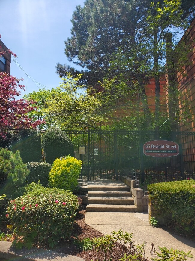 Apartments at 65 Dwight Street