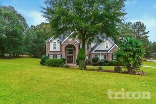 3620 Little Spring Dr in Stockbridge, GA - Building Photo