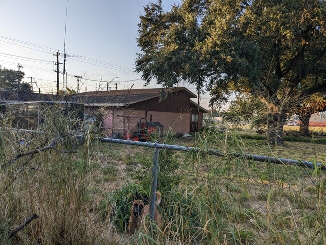 1439 N Alamo Rd in Alamo, TX - Building Photo - Building Photo