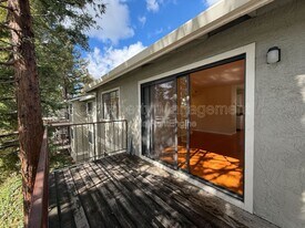 38561 Princeton Terrace in Fremont, CA - Building Photo