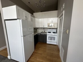 217 W Main St in Ottawa, IL - Building Photo - Building Photo