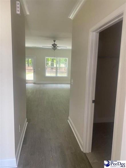 3244 Spiral Ln in Effingham, SC - Building Photo - Building Photo
