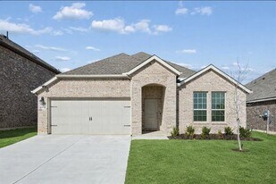 9729 Gooseneck Dr in Krugerville, TX - Building Photo