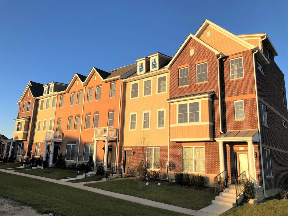 10618 Alice Mae Ct in Orland Park, IL - Building Photo