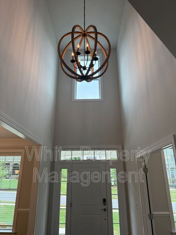 209 Forsythia Ln in Tega Cay, SC - Building Photo - Building Photo
