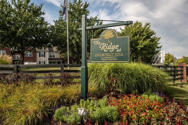The Ridge at Chestnut Hill in Columbus, OH - Foto de edificio - Building Photo