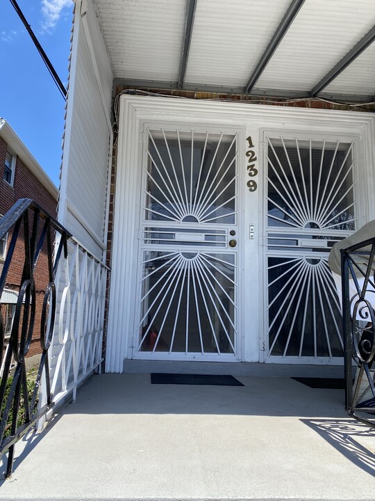 1239 E 66th St in Brooklyn, NY - Building Photo
