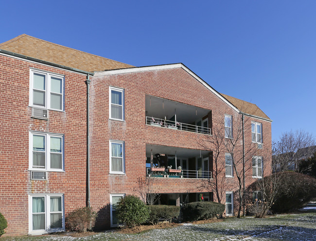 31-35 Lenox Rd in Rockville Centre, NY - Building Photo - Building Photo