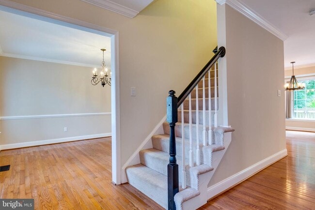 7107 Dudrow Ct in Springfield, VA - Building Photo - Building Photo
