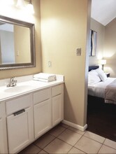 24210 Schivener House Ln in Katy, TX - Building Photo - Building Photo