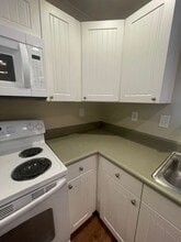 1105 Tree Top Way in Knoxville, TN - Building Photo - Building Photo