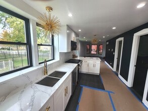 243 W Swann St in Chicago, IL - Building Photo - Building Photo