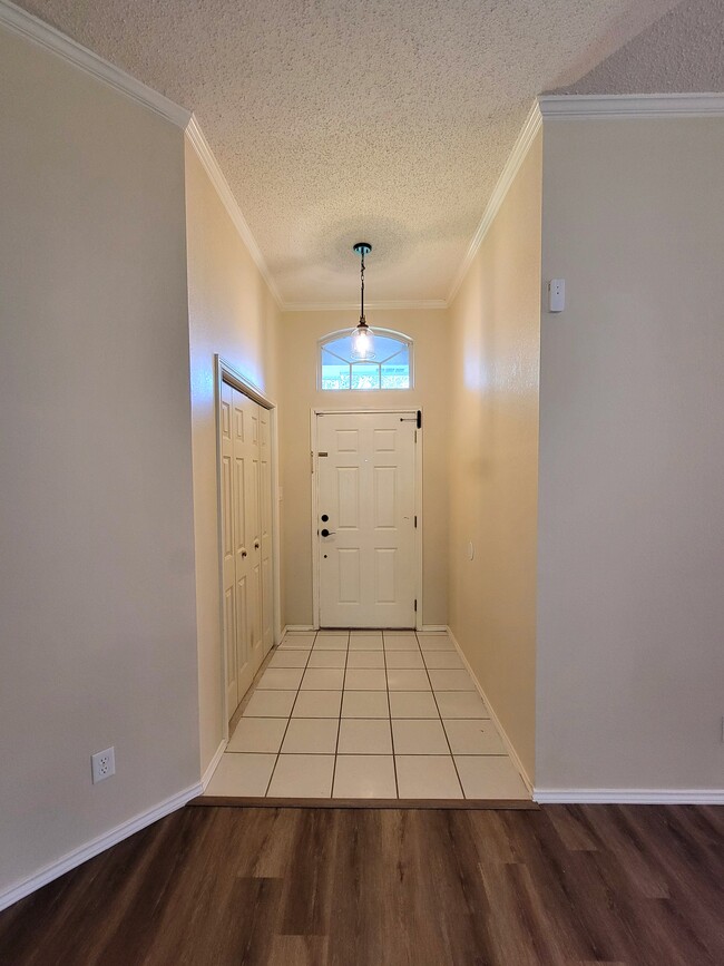 2704 Amherst Ave in McAllen, TX - Building Photo - Building Photo