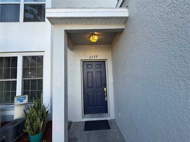 6339 Osprey Lake Cir in Riverview, FL - Building Photo - Building Photo