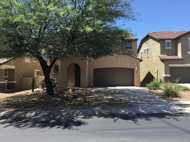 property at 207 W Calle Matraca