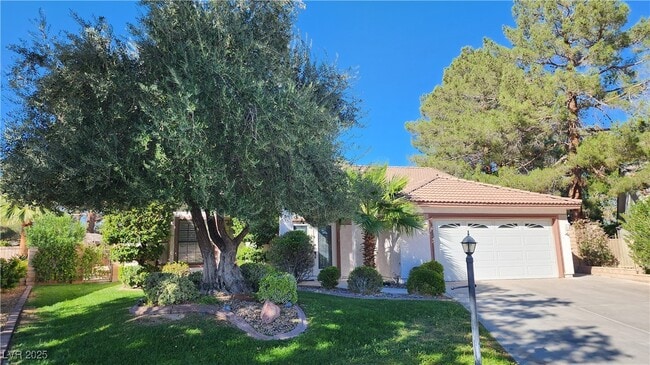 5716 Palma del Sol Way in Las Vegas, NV - Building Photo - Building Photo