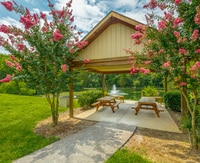 Preakness Apartments photo'