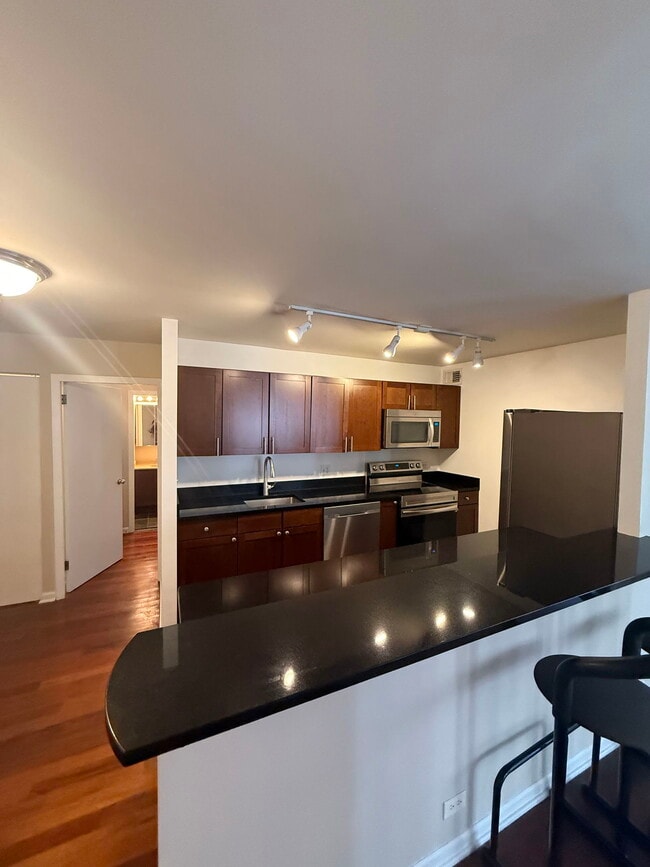 222 E Pearson St in Chicago, IL - Building Photo - Building Photo