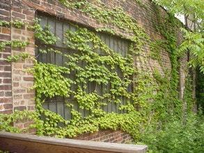 351 3rd St in Jersey City, NJ - Building Photo - Building Photo