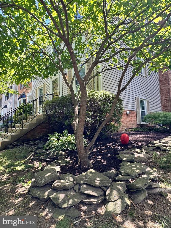 13909 Woods Run Ct in Centreville, VA - Building Photo - Building Photo