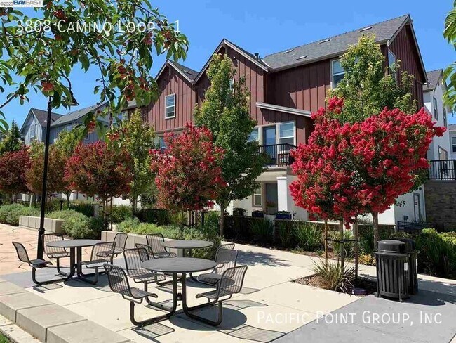 3808 Camino Lp in Dublin, CA - Building Photo - Building Photo