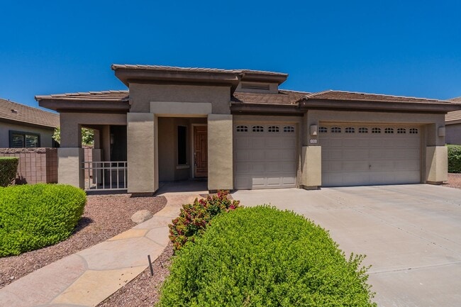 1302 E Ebony Dr in Chandler, AZ - Building Photo - Building Photo