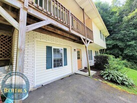 210 Cody Ln in Vilas, NC - Building Photo