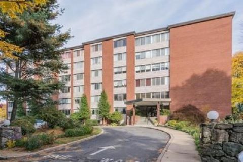 22 Chestnut Pl, Unit 311 in Brookline, MA - Building Photo