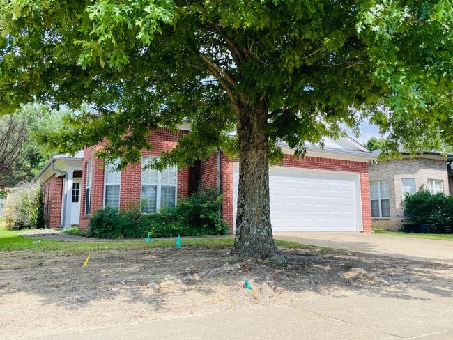 106 Chinkapin Loop in Oxford, MS - Building Photo - Building Photo