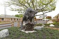 Buffalo Ranch Apartments in Farmersville, TX - Building Photo - Building Photo