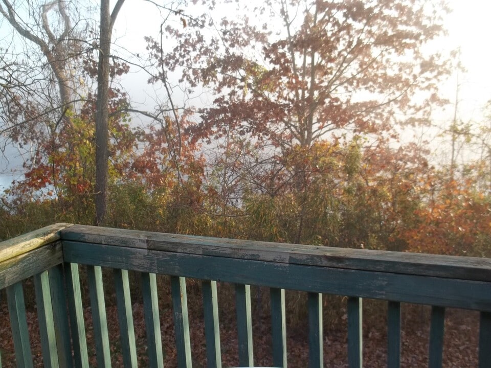 430 Fall Creek Dr in Branson, MO - Building Photo