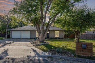 1009 Rolling Green Cir in Round Rock, TX - Building Photo - Building Photo
