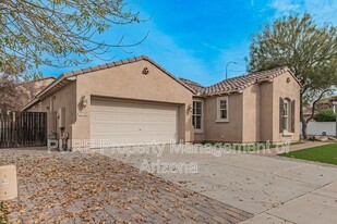 2146 E Desert Broom Dr